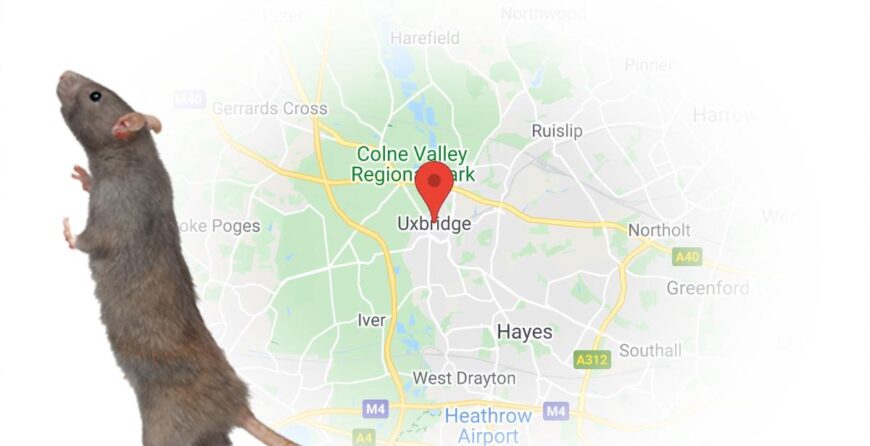 pest control Uxbridge Greater London England